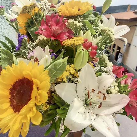 B&B A Due Passi Dal Centro Castelsardo